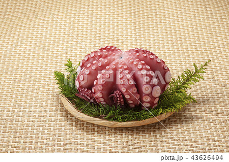 ゆでダコ 43626494