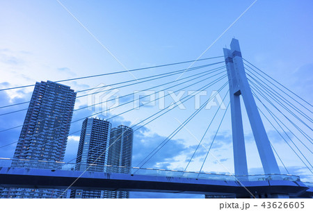 夕暮れ時の運河沿い高層マンションと辰巳桜橋 夕暮れ時の運河沿い高層マンションと辰巳桜橋 43626605