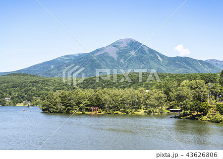 白樺湖越しに蓼科山を見る 43626806