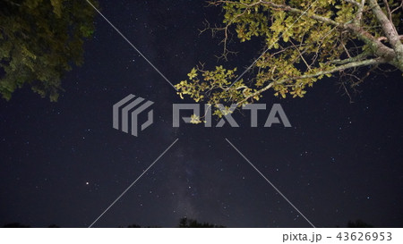 星空 43626953