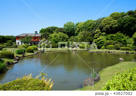 小石川植物園の博物館と水辺の緑 43627002