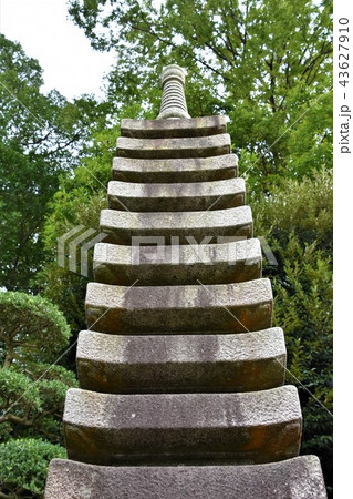 浄見寺 大岡越前 浄見寺 大岡越前 43627910