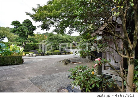 浄見寺 大岡越前 浄見寺 大岡越前 43627913