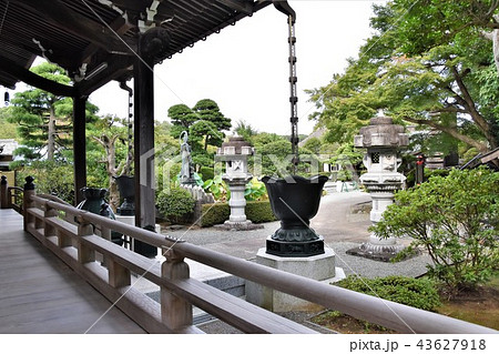 浄見寺　大岡越前　 43627918