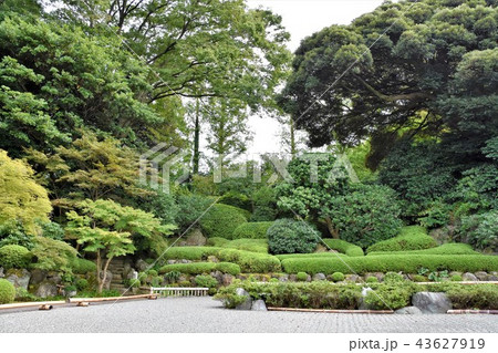 浄見寺 大岡越前 浄見寺 大岡越前 43627919