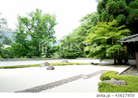 庭園 玉堂美術館 庭園 玉堂美術館 43627950