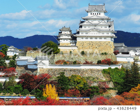 紅葉の姫路城 紅葉の姫路城 43628449