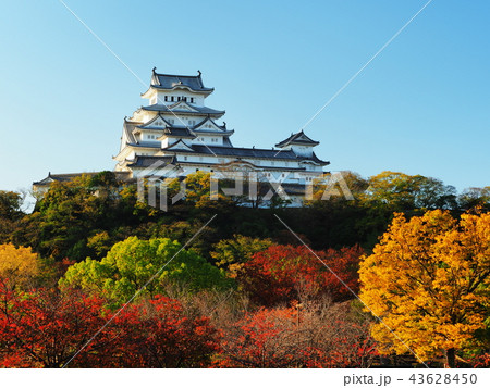 紅葉の姫路城 紅葉の姫路城 43628450