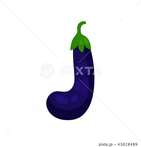 J veggie vegetable English alphabet letter made from eggplant vector Illustration on a white J veggie vegetable English alphabet letter made from eggplant vector Illustration on a white 43628489