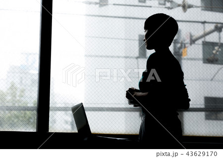 ビジネスシーン 43629170