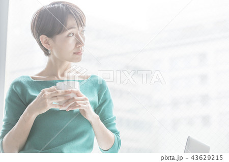 ビジネスシーン ビジネスシーン 43629215
