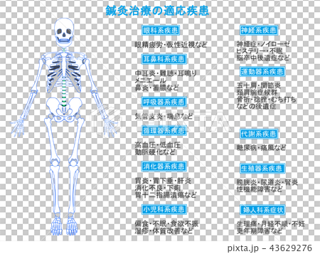 針灸治療的疾病適應症骷髏1(藍色,描述) 針灸治療的疾病適應症骷髏1(藍色,描述) 43629276