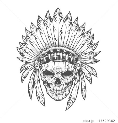 Indian skull with feathers. Vector art. 43629382