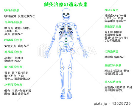 鍼灸治療の適応疾患図　骨格4（緑色・説明あり） 43629729