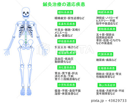 鍼灸治療の適応疾患図 骨格3 緑色 説明あり のイラスト素材 鍼灸治療の適応疾患図 骨格3 緑色 説明あり のイラスト素材