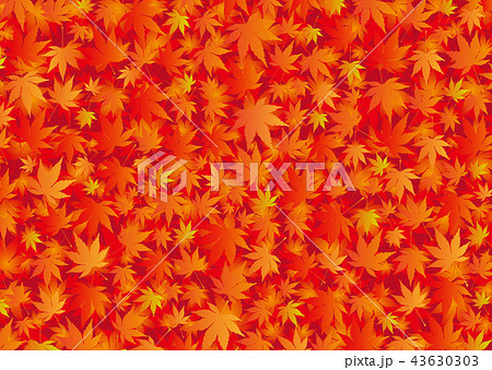 背景素材_紅葉 43630303