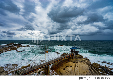 雲 空 海 43630355