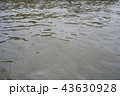 Dark water in the canal 43630928