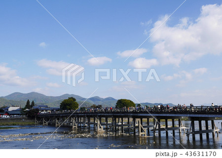 京都 京都 43631170