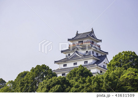 佐賀県唐津市の美しい唐津城 佐賀県唐津市の美しい唐津城 43631509