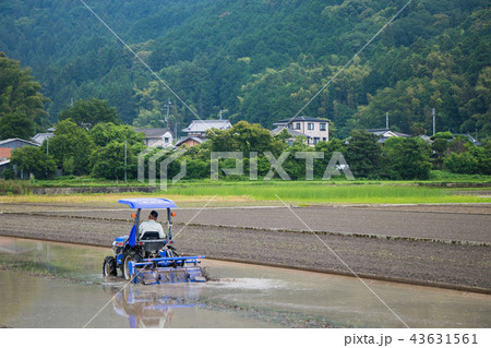 大洲市の田園風景 43631561