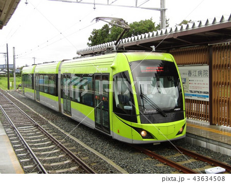 黄緑フクラム 43634508