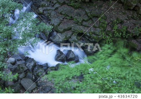 谷 石 岩 43634720