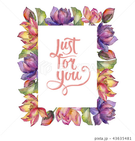 Watercolor colorful lotus flower. Floral botanical flower. Frame border ornament square. 43635481