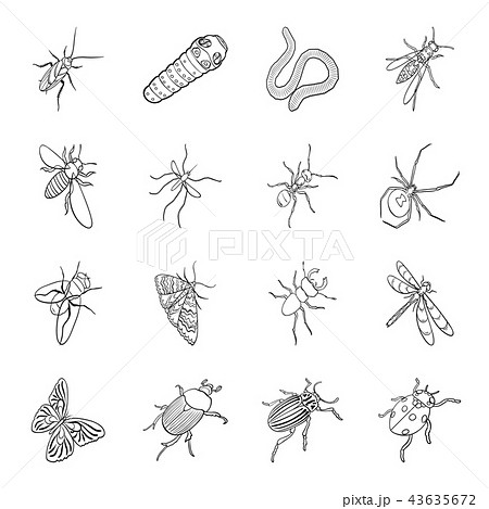 Different kinds of insects outline icons in set collection for design. Insect arthropod vector 43635672