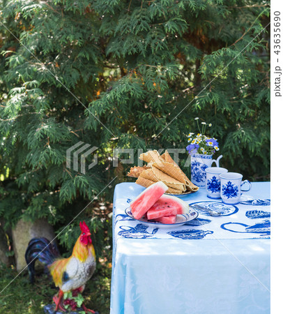 breakfast in the garden, watermelon and waffles 43635690