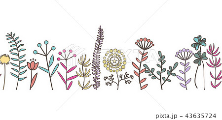 Vector Hand Drawn Flower And Plant Seamless のイラスト素材
