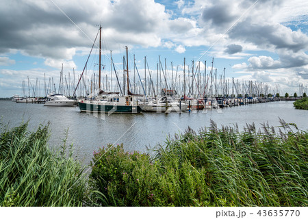 Yatchs moored in the marina of Volendam 43635770