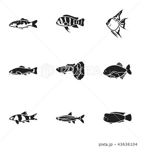 Aquarium fish set icons in black style. Big collection of aquarium fish vector symbol stock Aquarium fish set icons in black style. Big collection of aquarium fish vector symbol stock 43636104