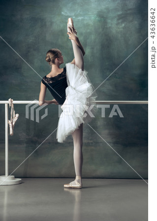 The classic ballerina posing at ballet barre The classic ballerina posing at ballet barre 43636642