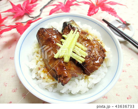 さんまの蒲焼きごはん 43636733