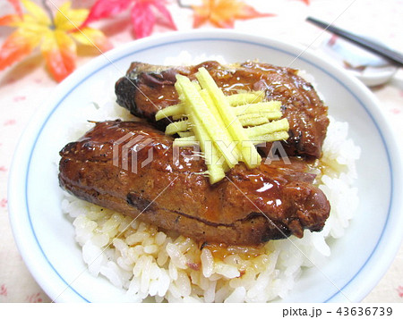 さんまの蒲焼きごはん 43636739