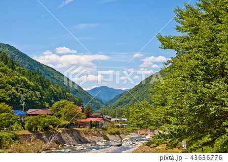 川沿いの風景 田舎 緑と山1 川沿いの風景 田舎 緑と山1 43636776