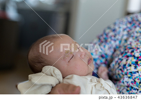 新生児とお婆ちゃん 孫とおばあちゃんの写真素材