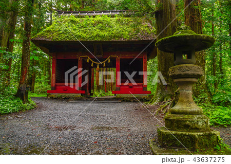 戸隠神社 奥社 戸隠神社 奥社 43637275