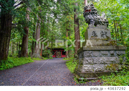 戸隠神社 奥社 戸隠神社 奥社 43637292