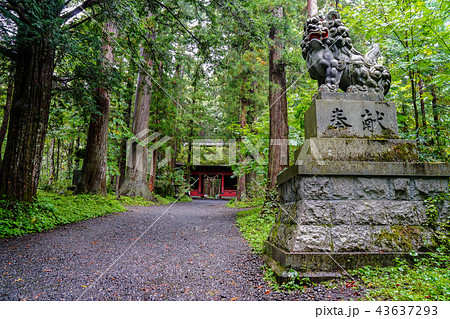 戸隠神社 奥社 戸隠神社 奥社 43637293