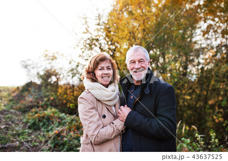 Senior couple standing in an autumn nature, hugging. Senior couple standing in an autumn nature, hugging. 43637525
