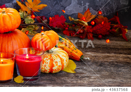 Fall harvest of pumpkins Fall harvest of pumpkins 43637568