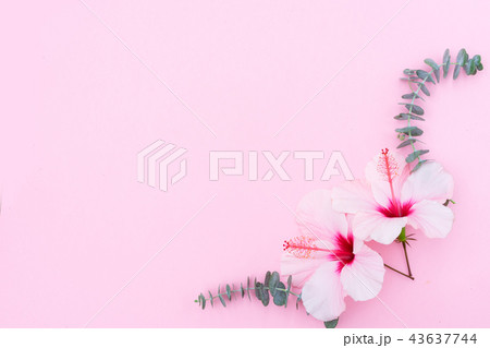 Wellness background with hibiscus flower 43637744