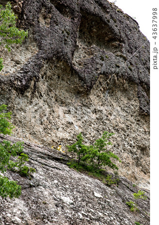 建築 全北 風景 43637998