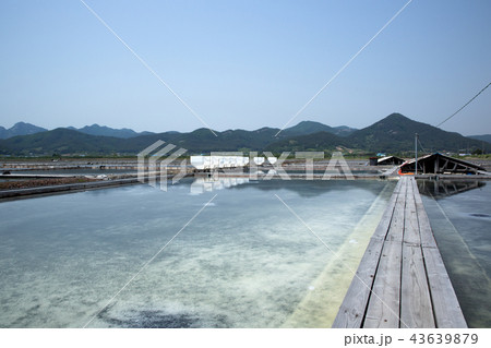 塩田 全北 韓国 43639879