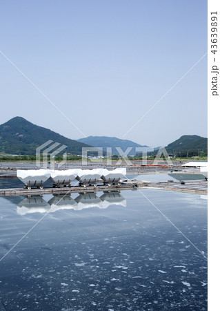 塩田 全北 韓国 43639891