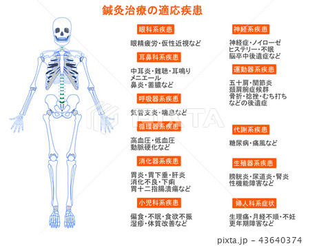 鍼灸治療の適応疾患図　骨格8（オレンジ色・説明あり） 43640374