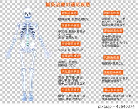 鍼灸治療の適応疾患図　骨格8（オレンジ色・説明あり） 43640374