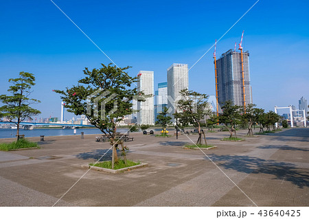東京 豊洲 春海橋公園 43640425